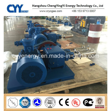 Large Flow and Medium Pressure Oxygen Argon Nitrogen Vacuum Piston Pump